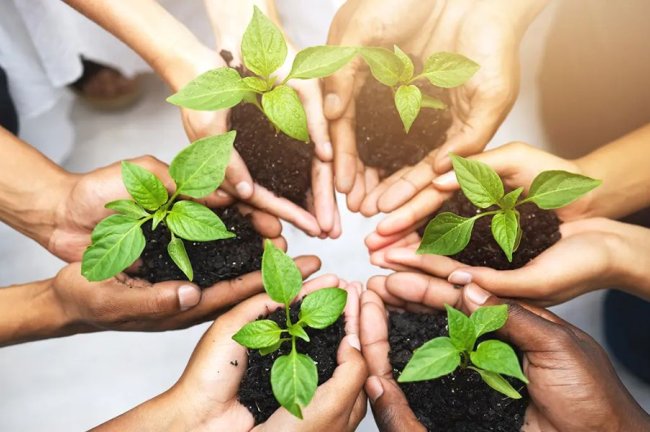 Όταν η βιωσιμότητα γίνεται τρόπος απόφασης