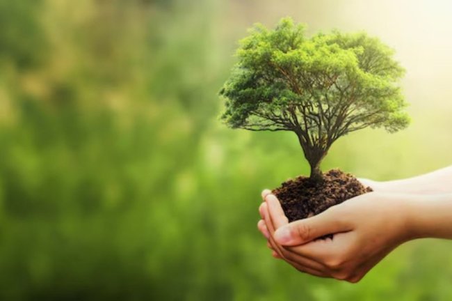 Sustainable Fitch και GGGI: Η χρηματοδότηση της προσαρμογής στην κλιματική αλλαγή παραμένει πολύ πίσω από τις ανάγκες