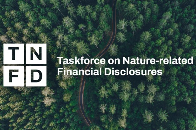 TNFD: Παρεμβάσεις για τα νέα πρότυπα ESRS – Οι προτάσεις για ισχυρότερες γνωστοποιήσεις σχετικά με τη φύση