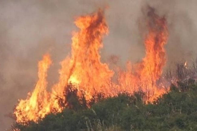 Ενέργειες Κρατικής Αρωγής για τις πυρκαγιές – Συντονισμός, επικοινωνίες και προγραμματισμός αυτοψιών της ΓΔΑΕΦΚ
