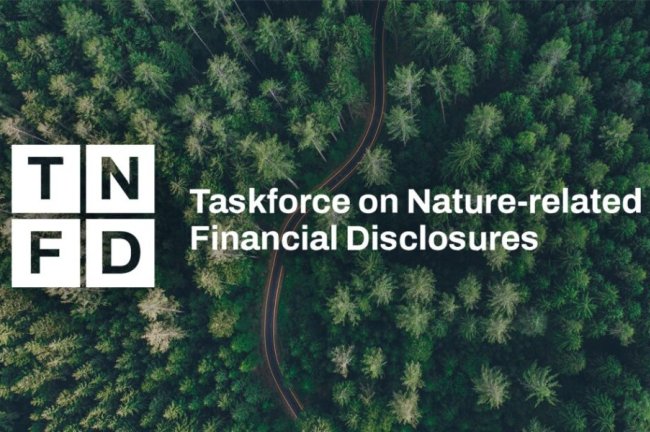 TNFD: Διπλασιάστηκαν οι οργανισμοί με nature-related disclosures – Πάνω από 70% ζητά υποχρεωτικό reporting