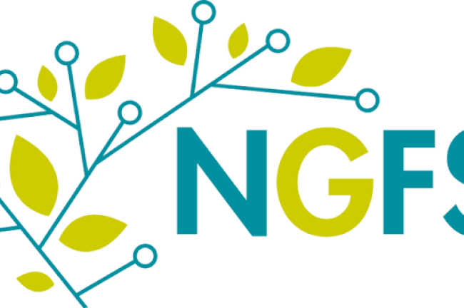 NGFS: Κλιματικοί και nature-related κίνδυνοι περνούν στον πυρήνα της τραπεζικής εποπτείας