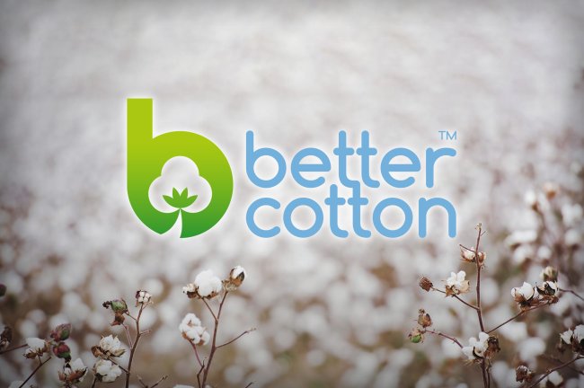 Better Cotton: Στο 23,9% της παγκόσμιας παραγωγής βαμβακιού – Ισχυρή άνοδος στην Ελλάδα