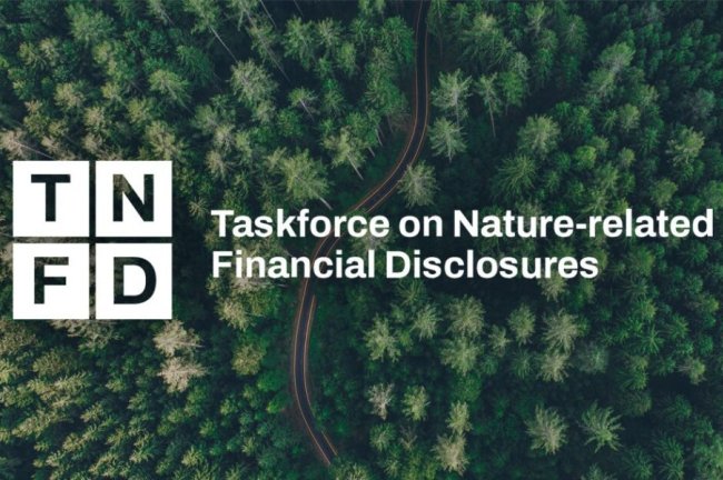 TNFD: Οι κίνδυνοι για τη φύση περνούν πλέον σε ισολογισμούς και επενδυτικές αποφάσεις