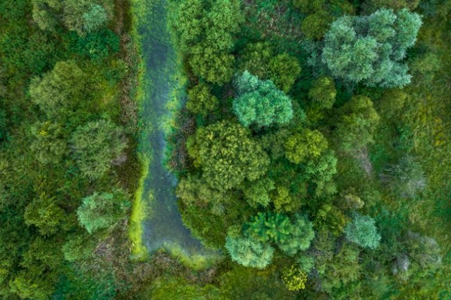 UNEP FI: Η φύση μπαίνει στο underwriting – Νέο Climate-Nature Nexus Atlas