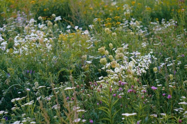 WWF: Η πλειονότητα των Ελλήνων λέει «ναι» σε δράσεις αντιμετώπισης της κλιματικής κρίσης