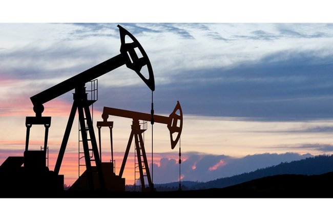 Ευρωπαϊκές τράπεζες στο στόχαστρο για τη χρηματοδότηση ορυκτών καυσίμων σε περιοχές υψηλής βιοποικιλότητας