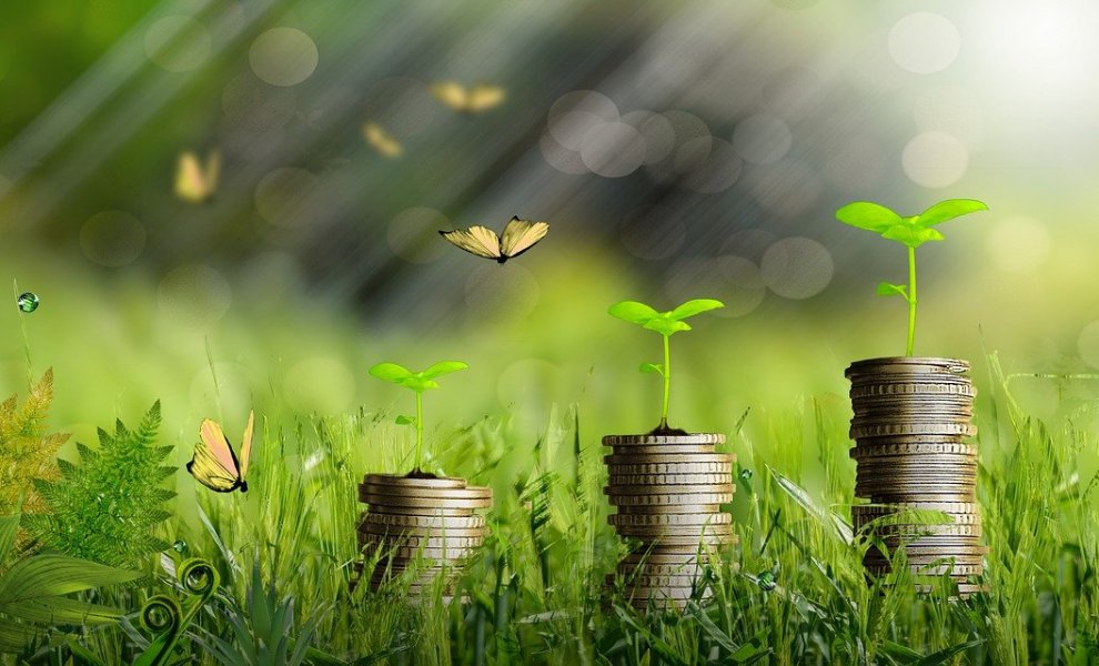 Πράσινη ταξινόμηση: Ευκαιρία αλλά και εμπόδιο για τις βιώσιμες επενδύσεις
