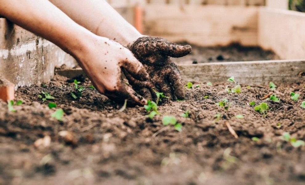 AgriCaptureCO2: η πλατφόρμα που πιστοποιεί την αυτοθεραπευτική ικανότητα της φύσης