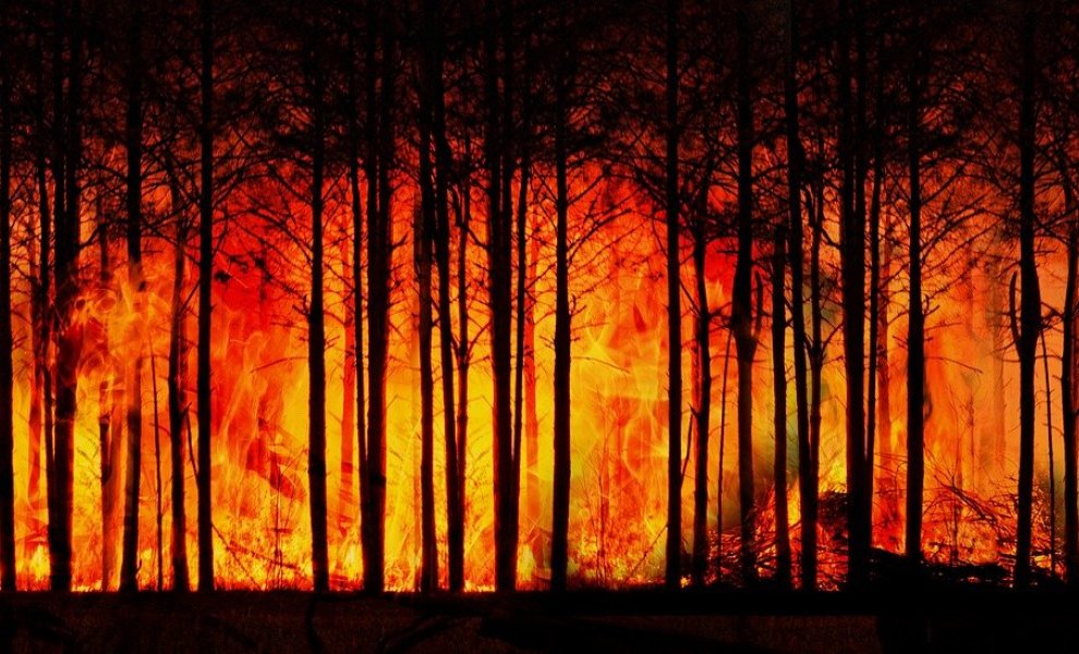 Τα Ηνωμένα Εθνη προειδοποιούν για αύξηση 30% των δασικών πυρκαγιών μέχρι το τέλος του 2050