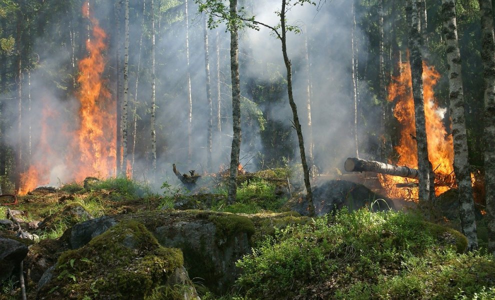  Ο καπνός από τις μεγάλες δασικές πυρκαγιές καταστρέφει προσωρινά το στρώμα του όζοντος στη στρατόσφαιρα