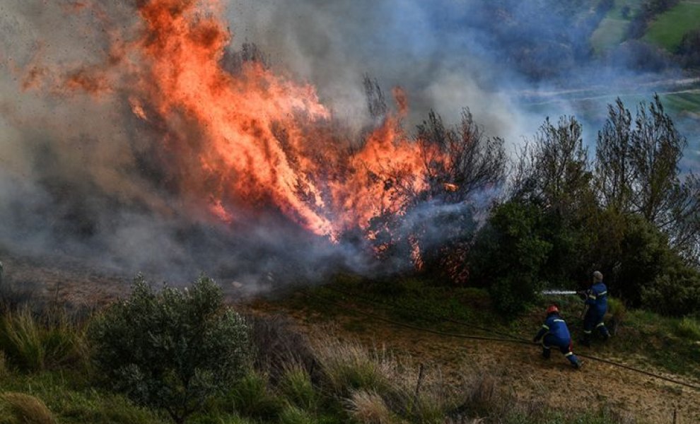 Έκθεση του WWF για τα οικονομικά της πρόληψης και της καταστολής των δασικών πυρκαγιών