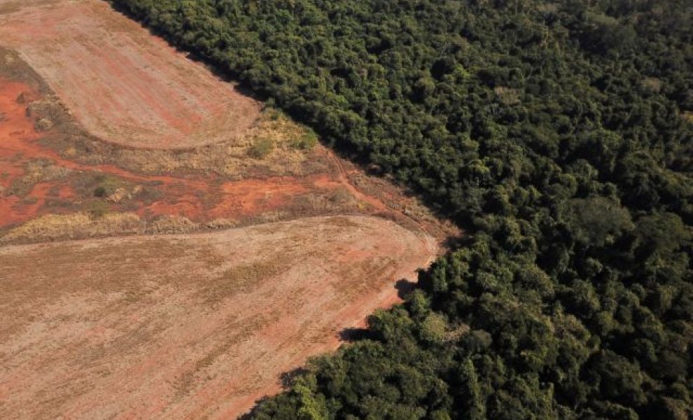Έσπασε νέο ρεκόρ η αποψίλωση του δάσους του Αμαζονίου