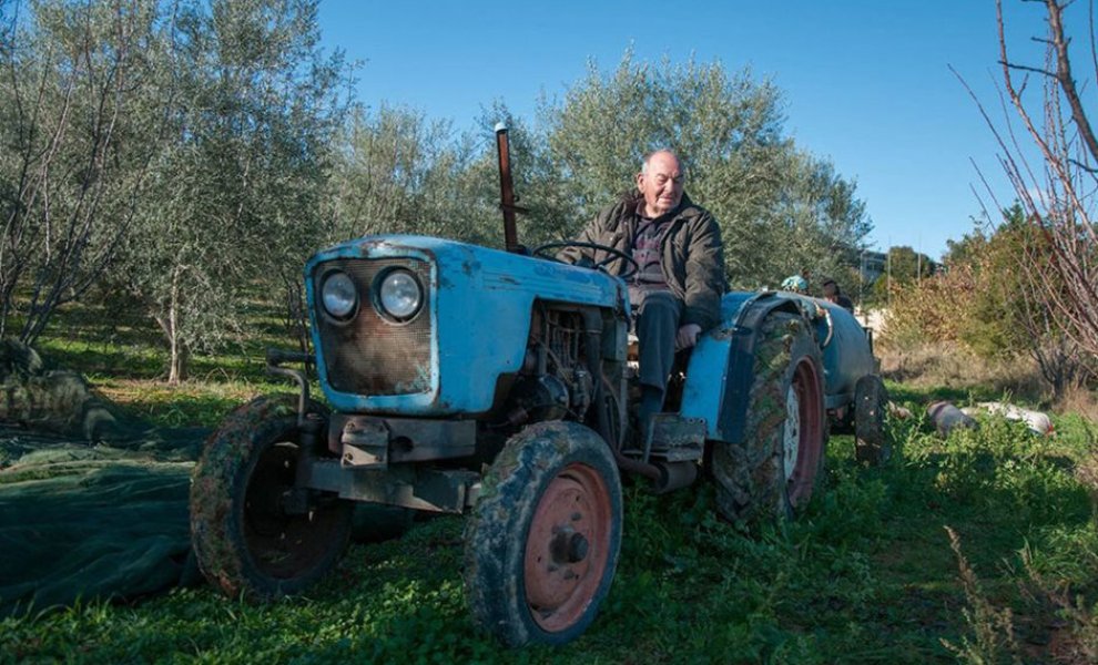 Θύματα της κλιματικής αλλαγής το ιταλικό λάδι και το κρασί