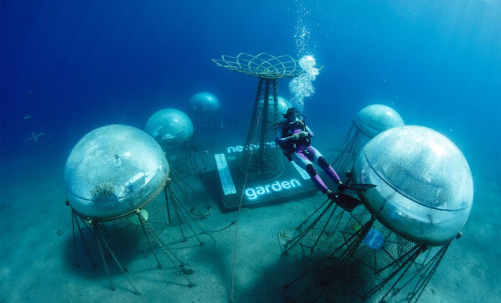 Nemo’s Garden: Ένας κήπος με φρούτα και λαχανικά, 8 μέτρα κάτω από τη θάλασσα