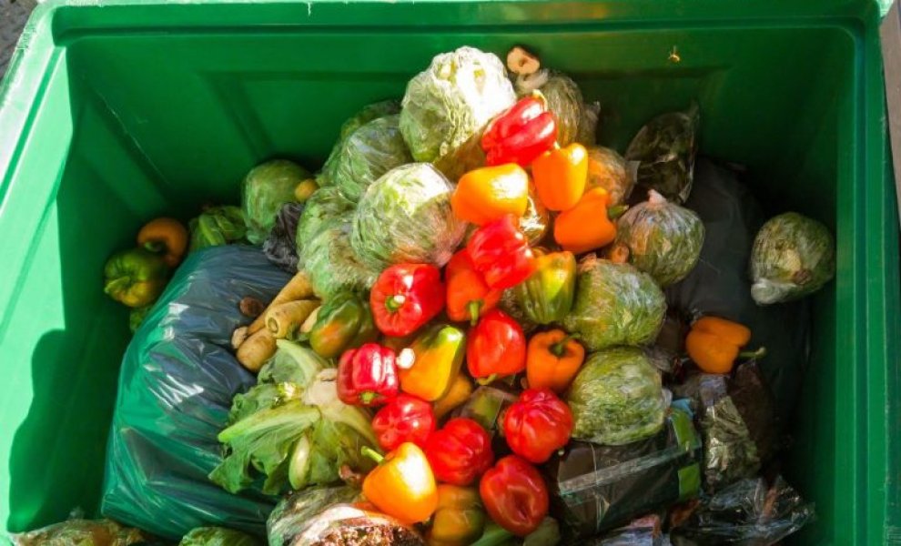 Ευρωπαϊκά νοικοκυριά: Στα σκουπίδια 70 κιλά τροφίμων ανά άτομο