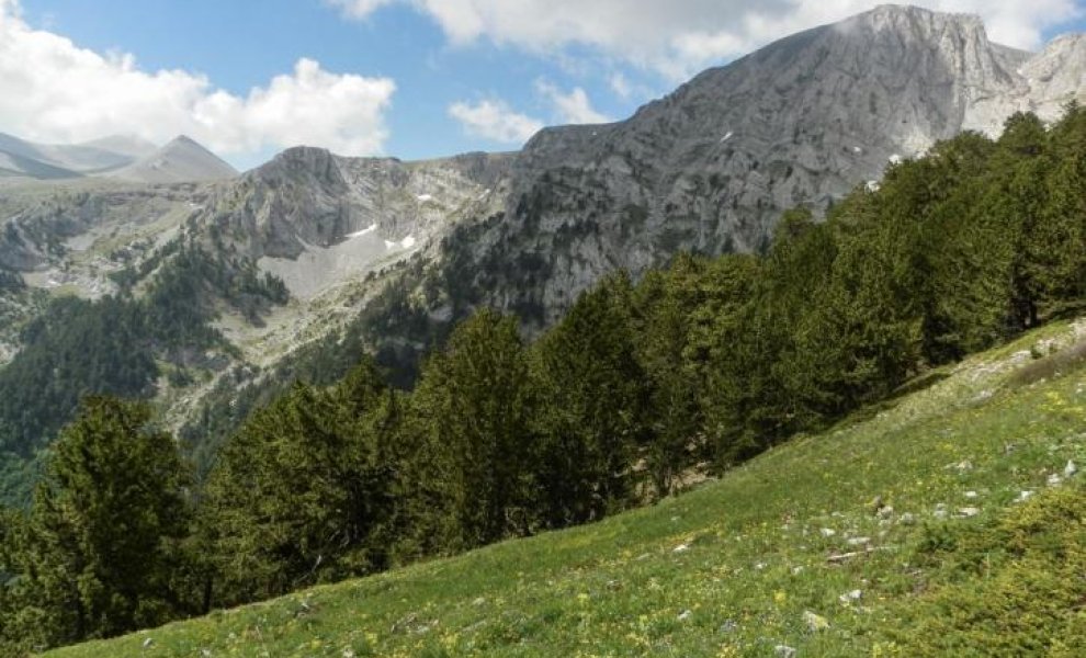 Παράταση στη διαβούλευση για τρεις περιοχές Natura 2000
