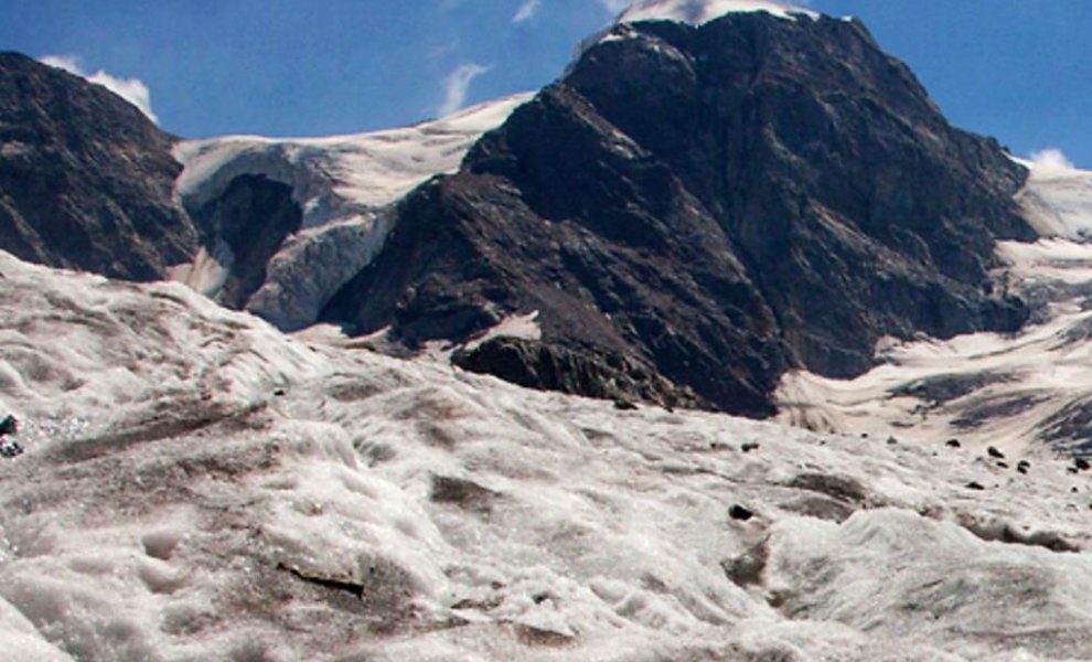 Κλιματική αλλαγή: Κάκτοι αντί για χιόνι στις ελβετικές βουνοπλαγιές
