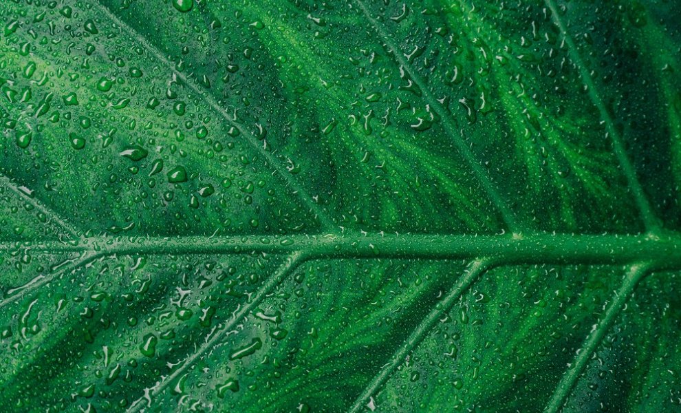 Eρευνητές δημιούργησαν «πράσινο» υδρογόνο χωρίς να χρησιμοποιήσουν γλυκό νερό