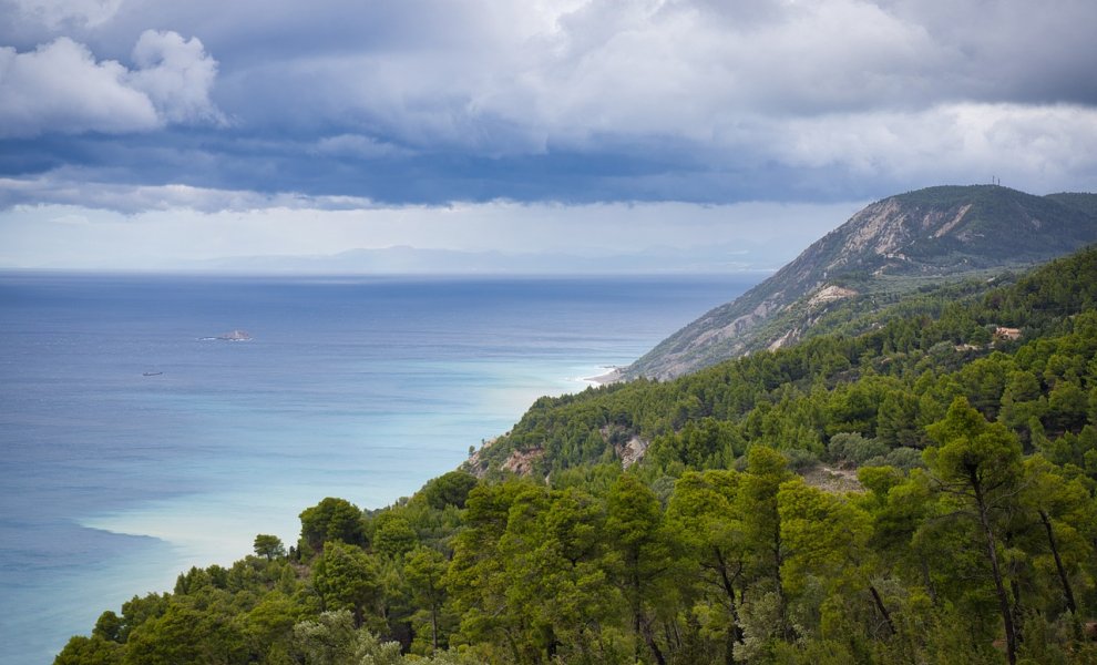 «Θέλω να ΠΡΑΣΙΝΙΣΩ»: Η πρώτη Ελληνική εφαρμογή που βάζεις το στίγμα σου εκεί που θέλεις να φυτευτεί ένα δέντρο