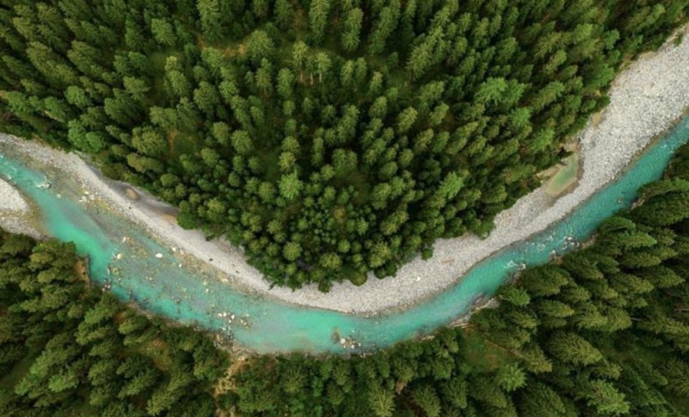 L’Oréal Fund For Nature Regeneration: Επενδύει σε 3 νέες «πράσινες» Startups