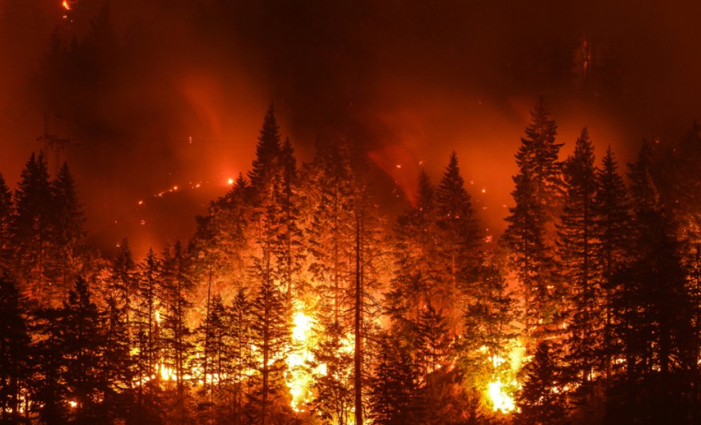Ένα τρίτο των δασικών πυρκαγιών στη Βόρεια Αμερική προκαλείται από τα ορυκτά καύσιμα, σύμφωνα με μελέτη