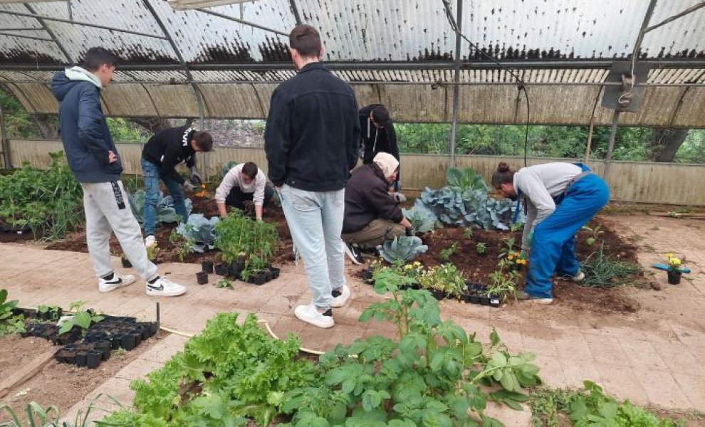 Carbon farming schools: Μαθητές γνώρισαν τη βιώσιμη γεωργία με την υποστήριξη της ΔΕΗ	