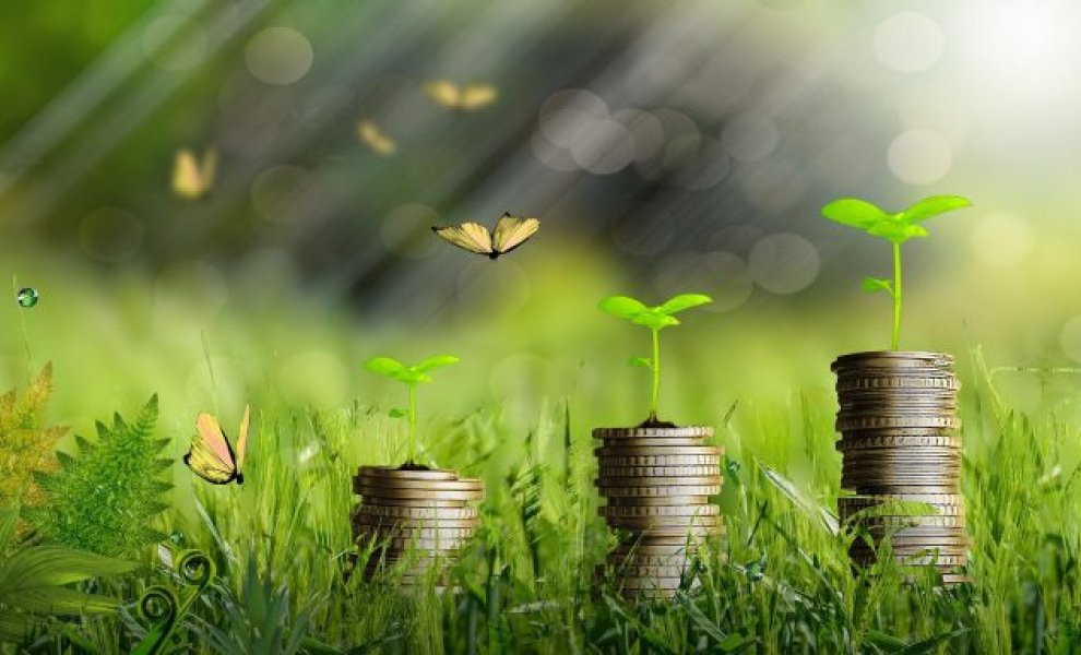Deloitte: Πώς επιδρά στον πιστωτικό κίνδυνο η μετάβαση των ελληνικών επιχειρήσεων στην πράσινη οικονομία