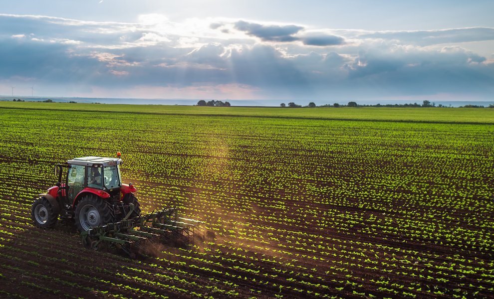 FAO: Απαραίτητη η εξεύρεση ισορροπίας ανάμεσα στη βιωσιμότητα και την παραγωγικότητα από την ΕΕ