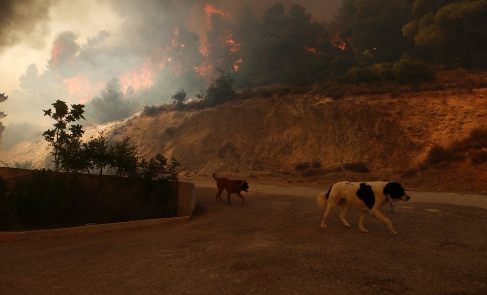 	Περισσότερα από 400.000 στρέμματα έχουν καεί από τις δασικές πυρκαγιές των τελευταίων 3 ημερών