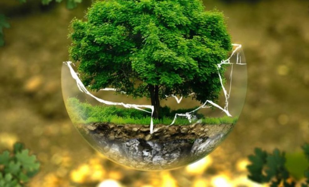 Nature Action 100: 24 τρισ. δολάρια «δείχνουν» τη λίστα των εταιρειών που εγκαλούν να γίνουν «πράσινες»