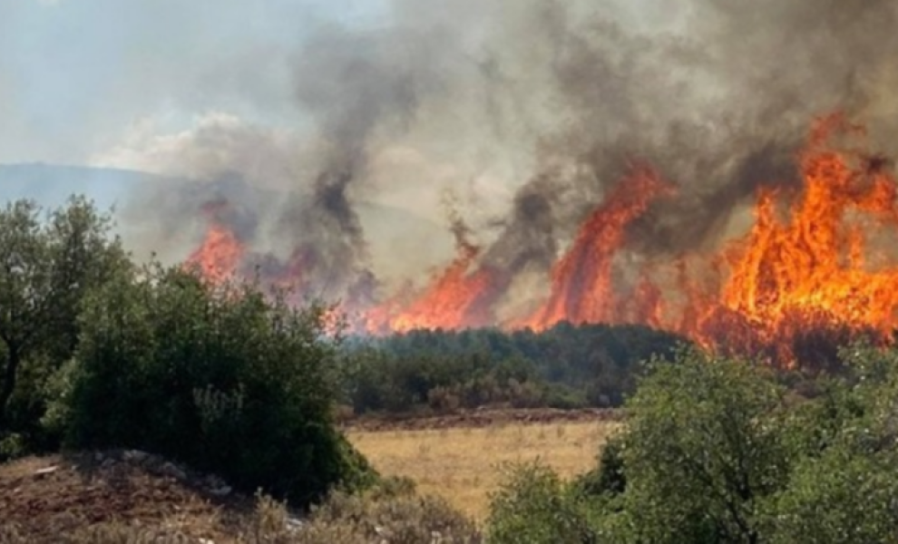 Αναστέλλονται από το ΥΠΕΝ οι οικονομικές δραστηριότητες στην πληγείσα από την πυρκαγιά δασική περιοχή του Έβρου