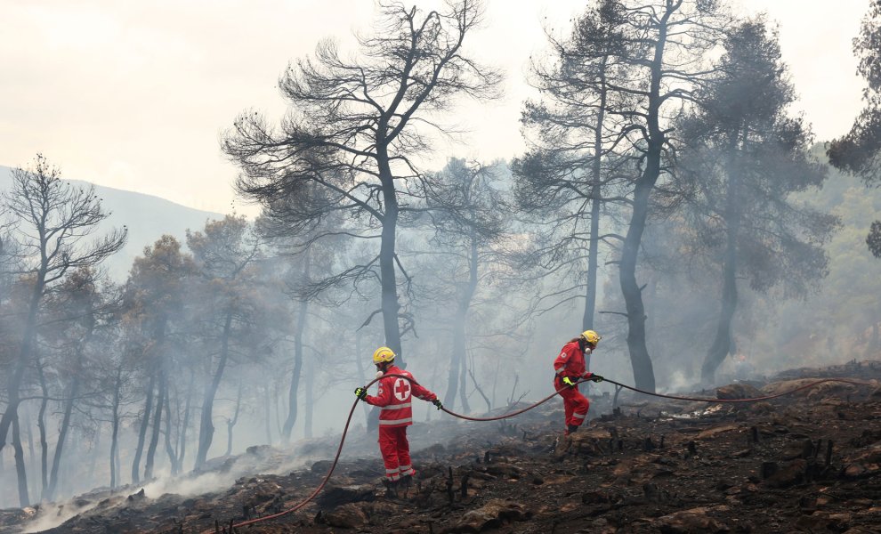 Προειδοποίηση για το κόστος των δασικών πυρκαγιών