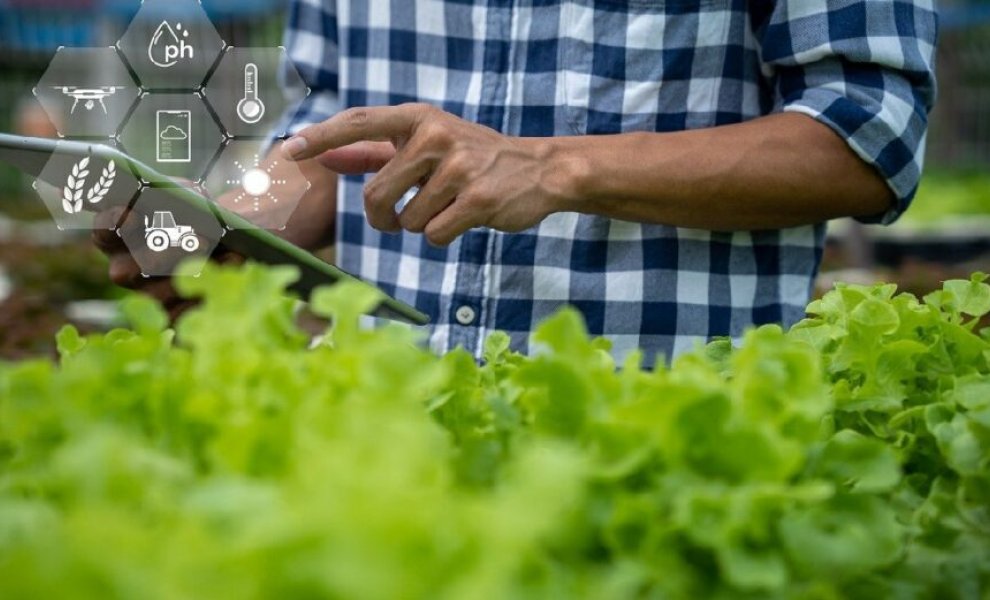 STELAR KLMS: Η τεχνητή νοημοσύνη στον αγροτοδιατροφικό τομέα