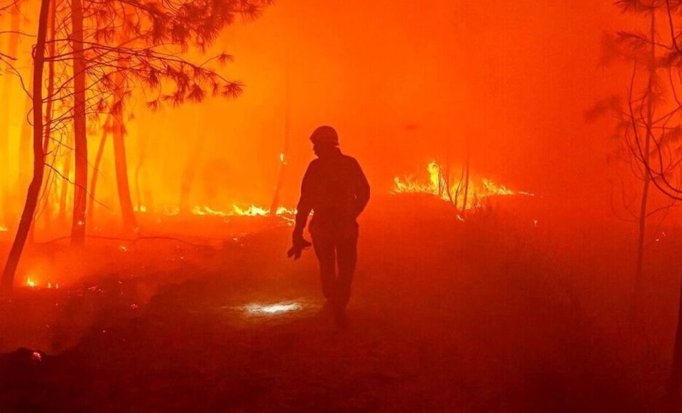2023: Μια χρονιά καταστροφικών δασικών πυρκαγιών στον κόσμο	