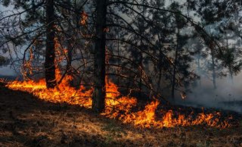 ΤτΕ: Στα 2,2 δισ. ευρώ ετησίως το κόστος της κλιματικής αλλαγής για τη χώρα