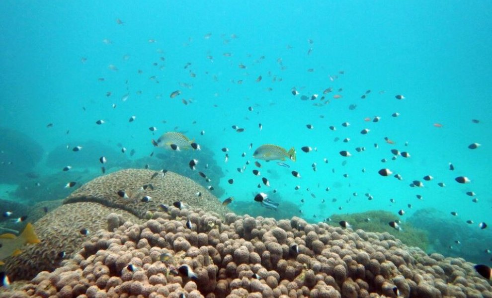 9ο «Our Ocean Conference»: Δέσμευση η προστασία των ωκεανών