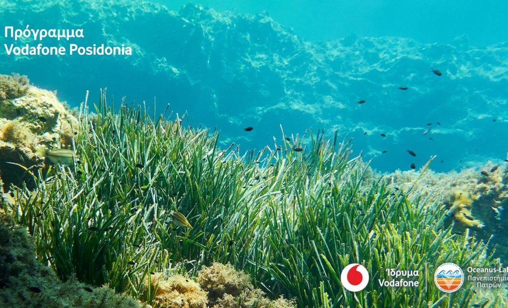 Το Vodafone Posidonia στη διεθνή Έκθεση Mobile World Congress (MWC) 2025