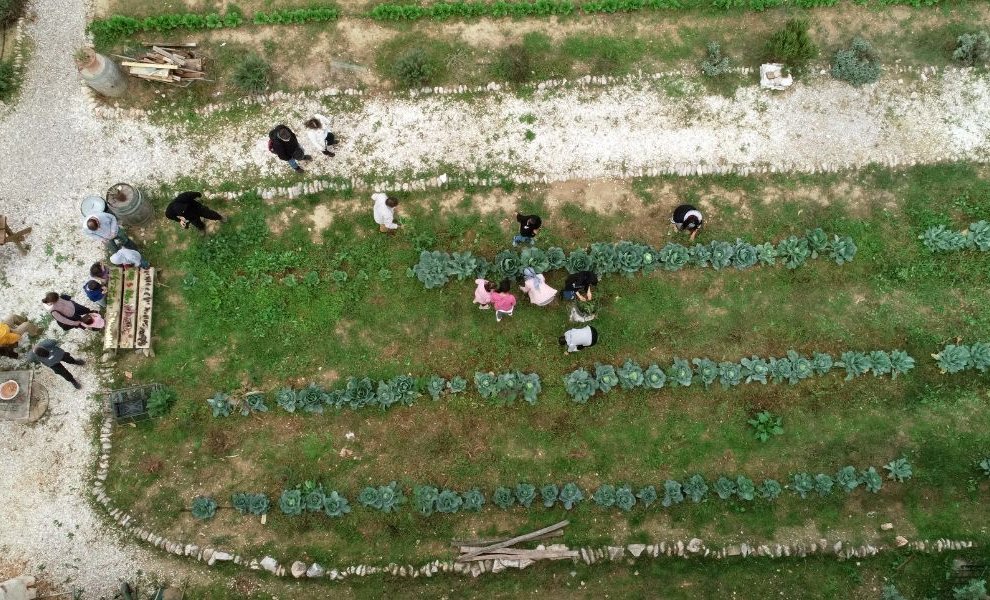 Οργάνωση Γη: Μια Κοινότητα που Δυναμώνει Μέσα από τη Σχέση της με τη Φύση