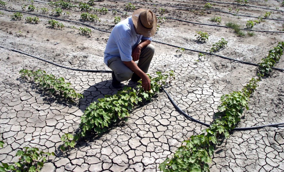 Mείωση 40% στην πρωτογενή παραγωγή λόγω κλιματικής αλλαγής