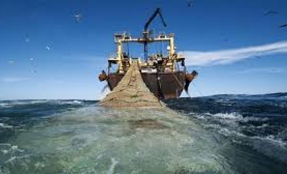 WWF: Στο παραπέντε διατηρείται η απαγόρευση κάθε αλιευτικής δραστηριότητας στη θαλάσσια περιοχή της Γυάρου	