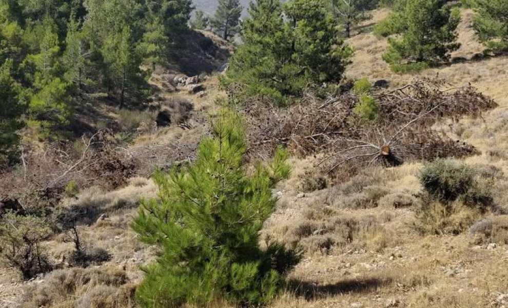 Μονάδα Στρατηγικών Συμβάσεων Υπερταμείου: Η αλήθεια για τα έργα Antinero στη Χίο