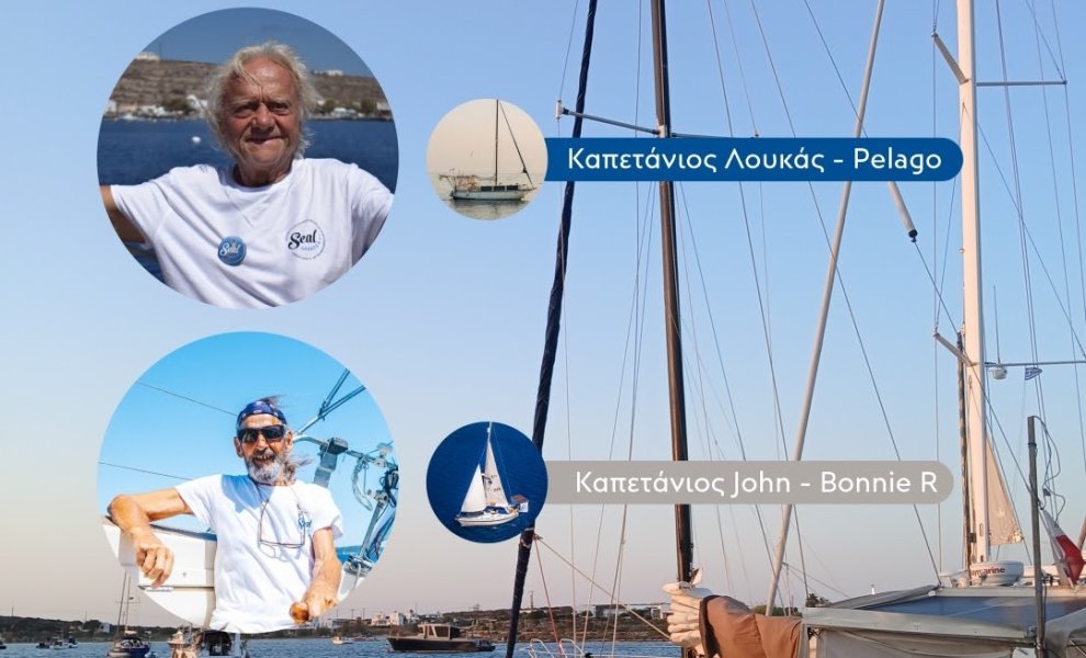 Seal Greece: 1.000 μίλια για τις 1.000 μεσογειακές φώκιες που απομένουν στον πλανήτη