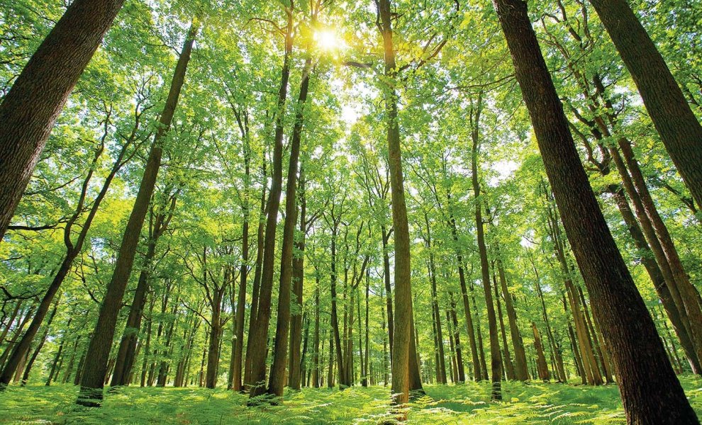 Γιατί η COP30 πρέπει να αντιμετωπίσει το κλιματικό χάσμα πραγματικότητας