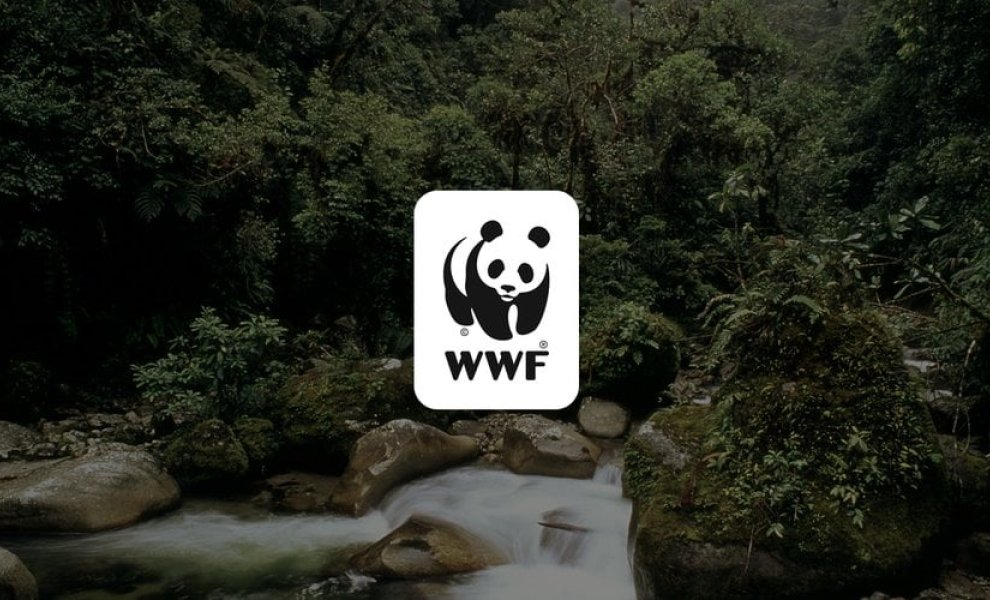 WWF: Καμπανάκι προς τις κεντρικές τράπεζες για τη φύση και τον χρηματοπιστωτικό κίνδυνο