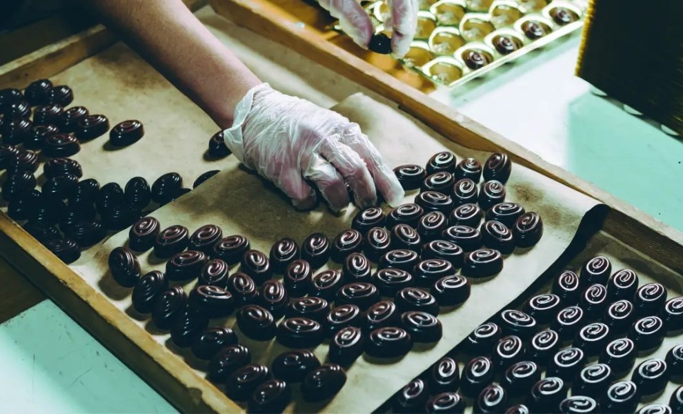 Επιστήμονες σώζουν τον κλάδο σοκολάτας από την κλιματική αλλαγή