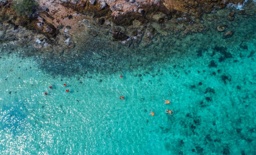 Εθνικά θαλάσσια πάρκα: Εγκρίθηκαν οι ειδικές περιβαλλοντικές μελέτες σε Ιόνιο και Νότιο Αιγαίο