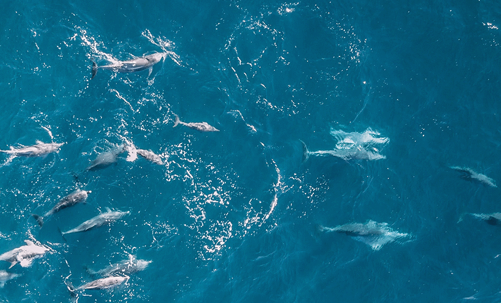 H Emirates NBD εκδίδει blue-green ομόλογο ύψους $1 δισ. ενισχύοντας τη βιώσιμη χρηματοδότηση στον Κόλπο