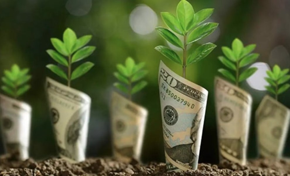 Το greenwashing διώχνει τους μικροεπενδυτές από τα «πράσινα» προϊόντα