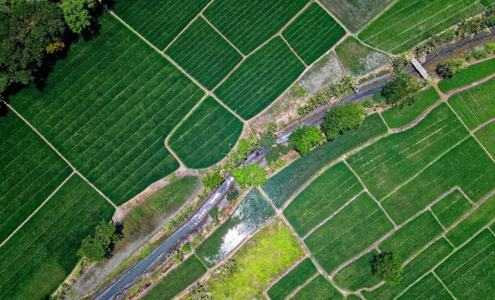 Αναγεννητική Γεωργία: όταν η καλλιέργεια της γης γίνεται εργαλείο για την αντιμετώπιση της κλιματικής κρίσης